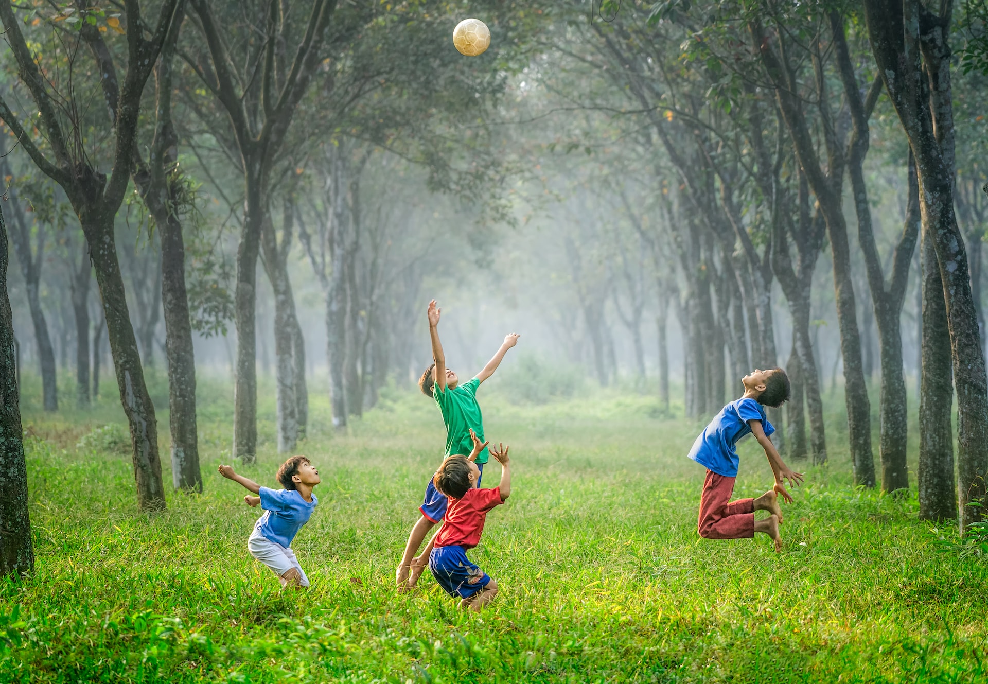 Kids playing in the forest