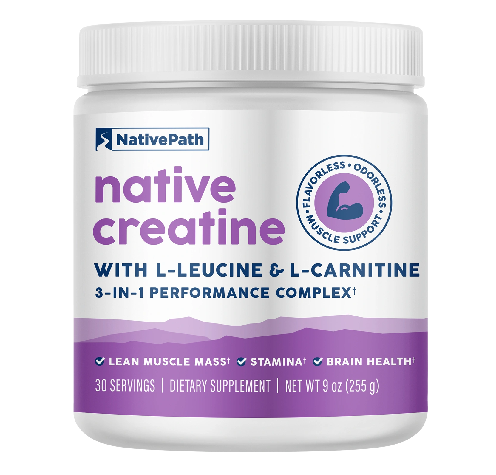 acetyl l carnitine alcar supplement Acetyl-L-Carnitine 500 mg Veg Capsules
