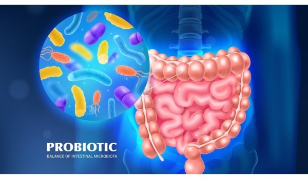 GLP-1 Probiotic