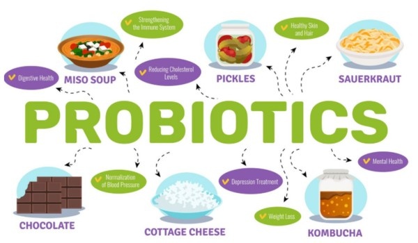 GLP-1Probiotic