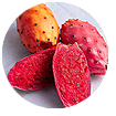 beyond nerve relief ingredients-prickly pear