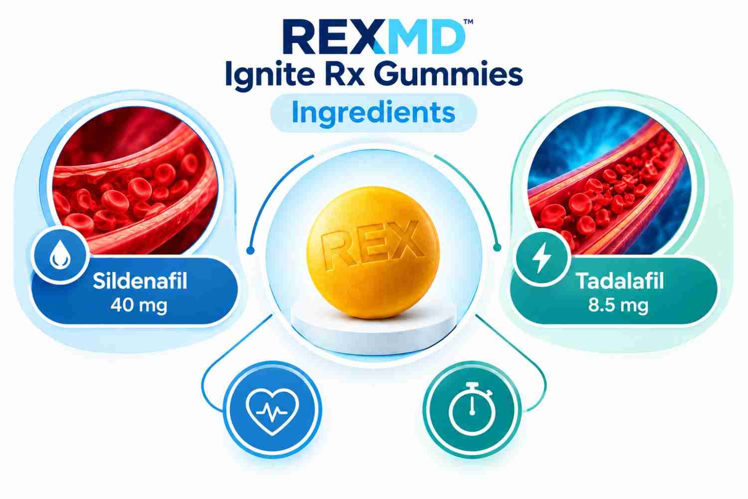 REXMD Ignite Rx Gummies Ingredients